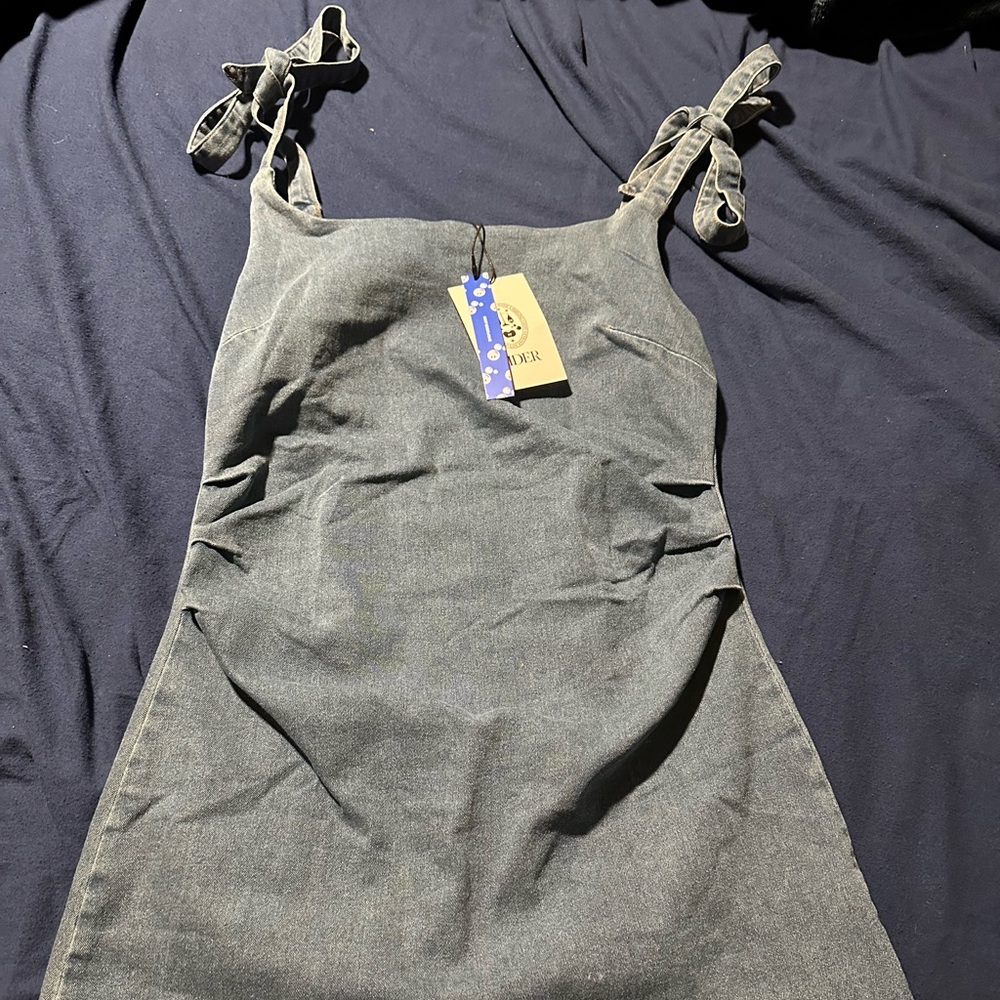 Cider Denim Mini Dress